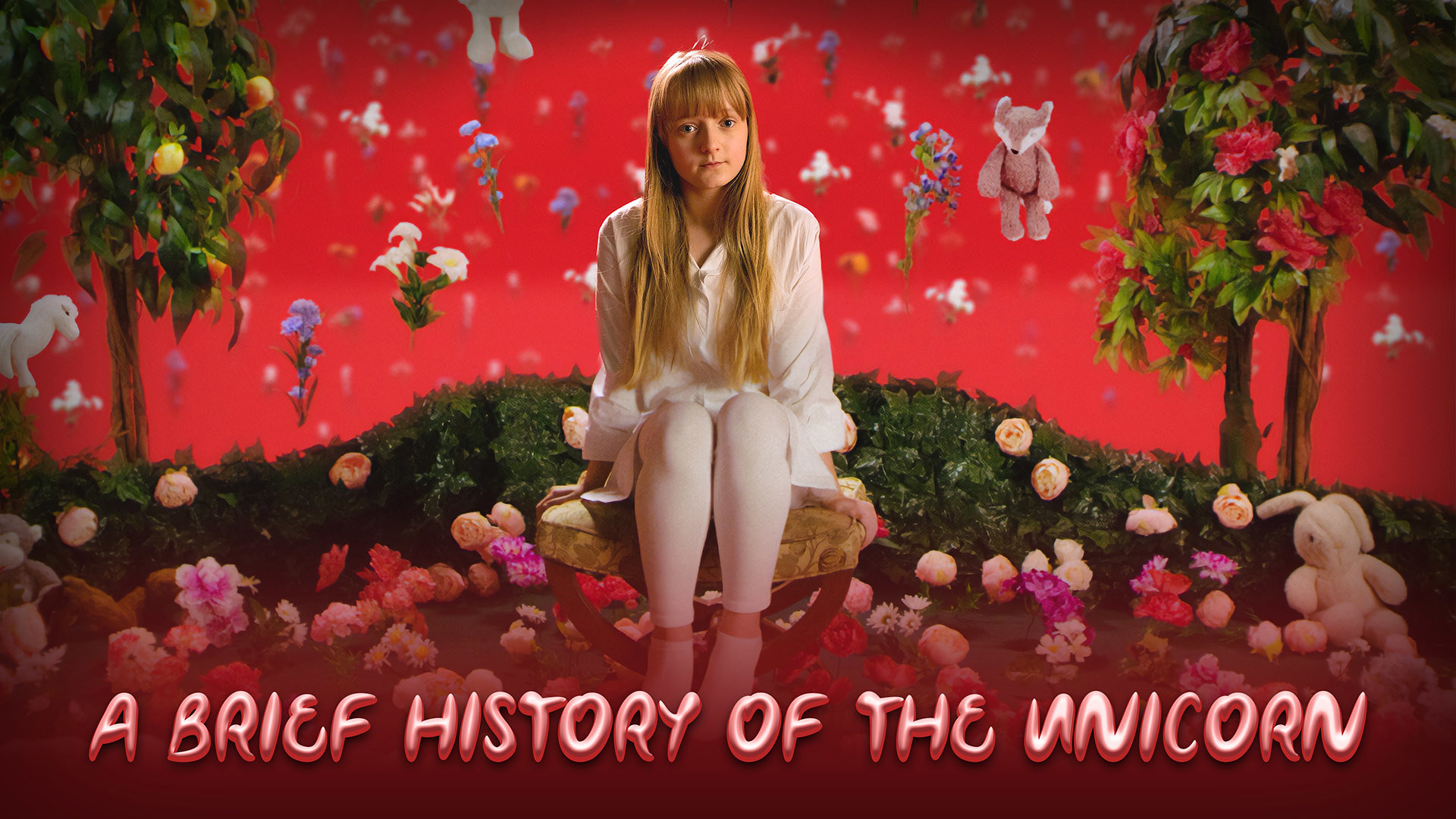 A Brief History of the Unicorn